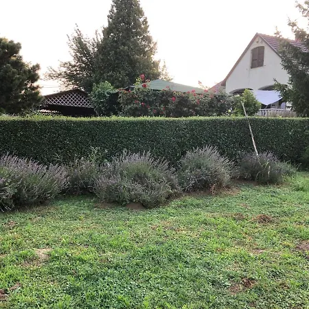 Homestay Panzio Rust In